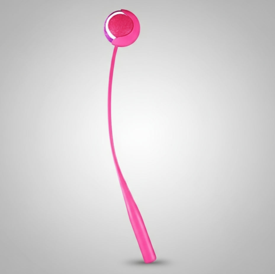 Ball Launcher for Dog